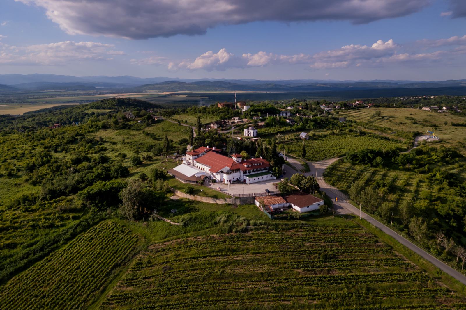 Casa Seciu văzută de sus, pe culmea dealului, printre vii